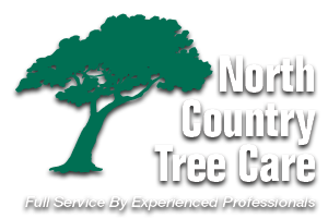 North Country Tree Care